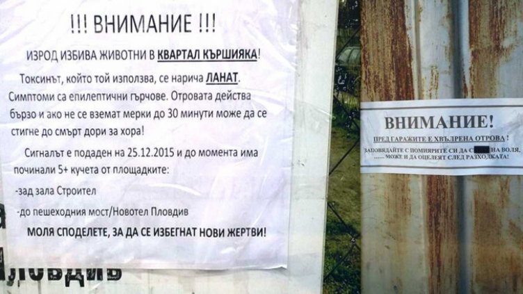 Война срещу домашни кучета в Пловдив