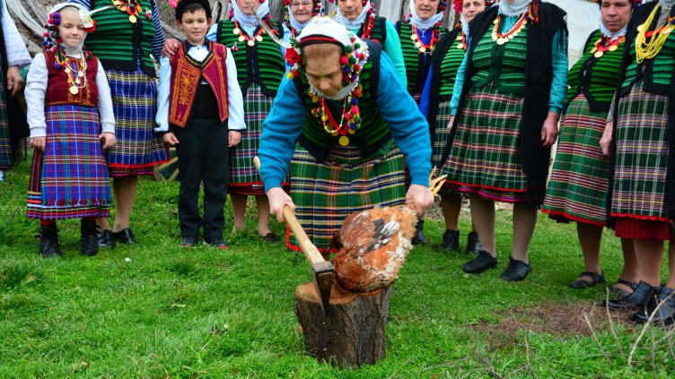Най-хубавия петел изкараха на мегдана в Голица на 2 февруари (СНИМКИ)