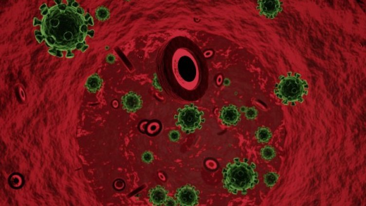Кои са 3-те продукта, които блокират COVID-19