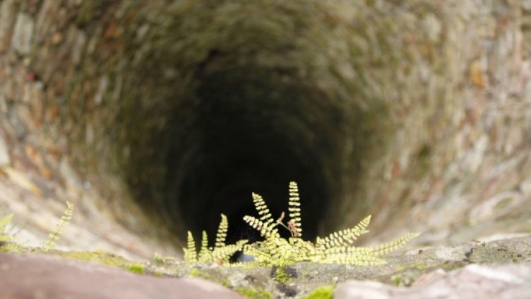 Британка изчезна от наше село