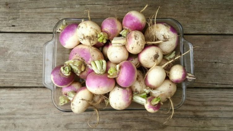 5 ползи за здравето от консумацията на ряпа