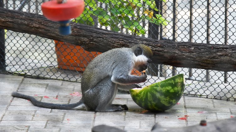 снимки: Ели Маринова