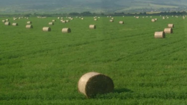 Пробация за арендатор от Аврен, извършил документно престъпление 