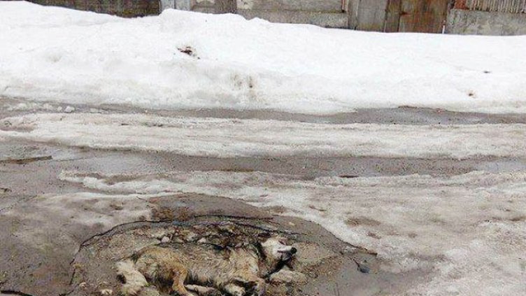 Снимка Фейсбук