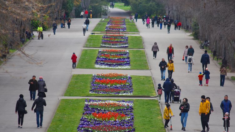 Стягат протест "НЕ на колите в Морската градина на Варна!"