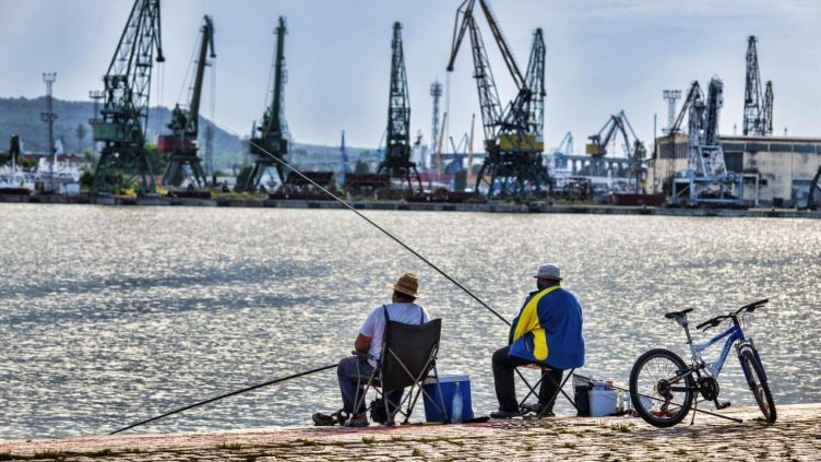 Необичайно: Сьомгова пъстърва кълве на рибари от Бургас и Варна