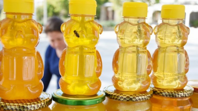 Снимка ПЛАМЕН ГУТИНОВ, архив