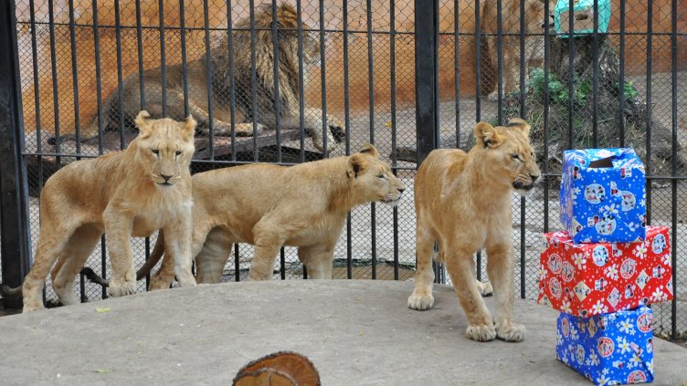 Снимка Пламен Гутинов