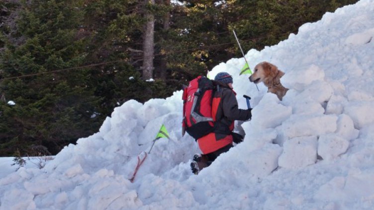 ПСС предупреди: В планината времето е лошо, падат лавини!
