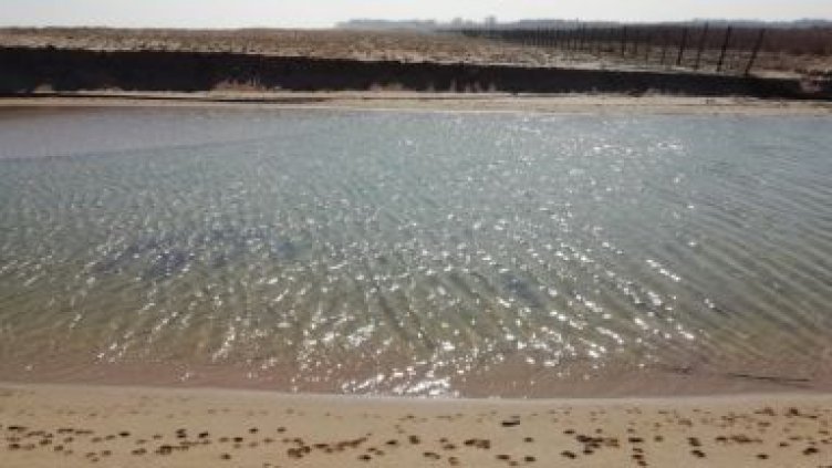 Отпускат се близо 5 млн. лв. за Шабленското и Дуранкулашкото езеро