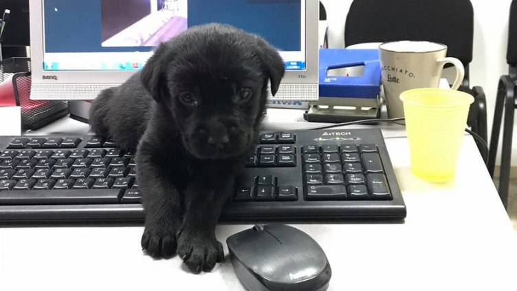 Съвет: Компютърът трябва да се гаси поне веднъж седмично