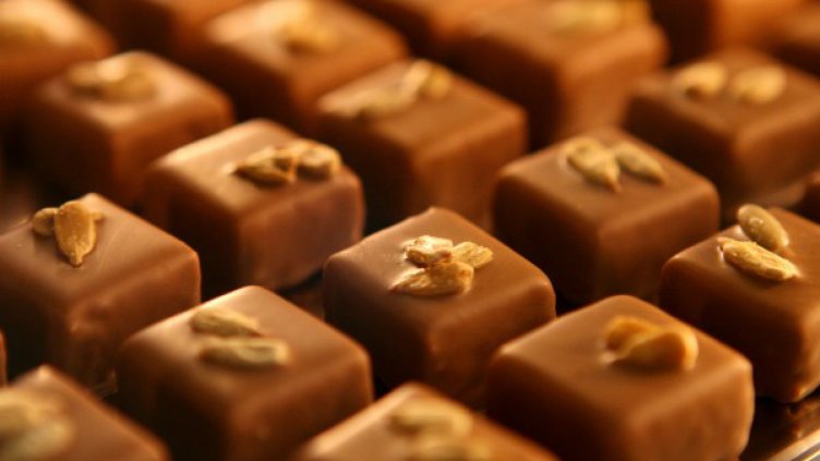 Снимка архив