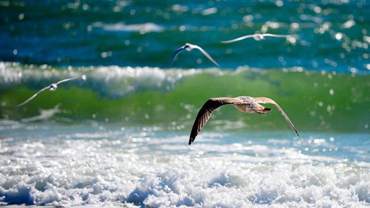 Слънчево, ще духа слаб вятър