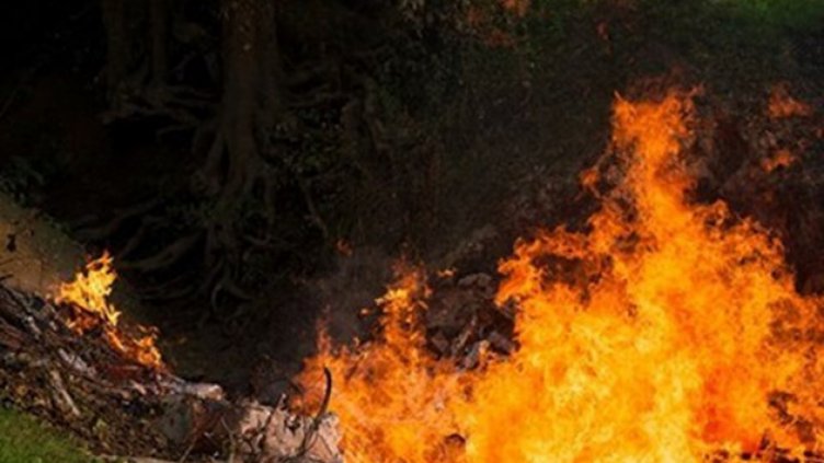 Локализираха пожара край Свиленград