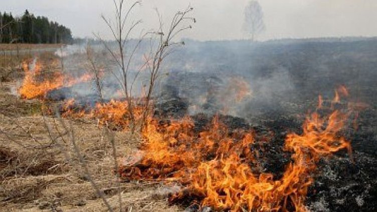 63-годишен е загинал при пожар в Кюстендилско