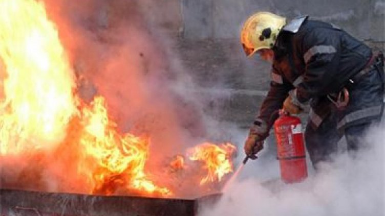 22 кокошки и кон изгоряха при пожар в селскостопанска постройка