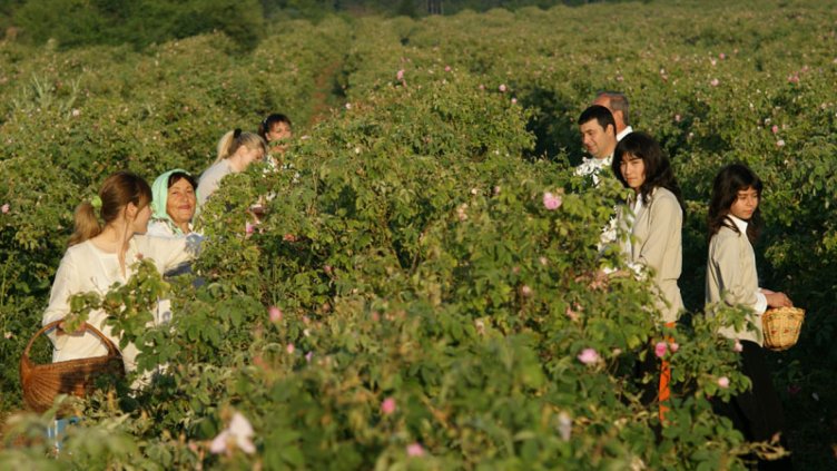 За 170 професии у нас не достигат кадри