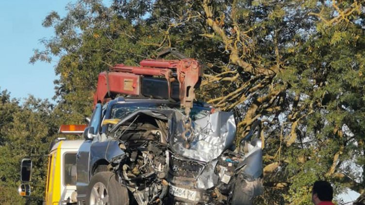 45-годишен загина на място след удар в дърво край с. Любен Каравелово(Снимка)