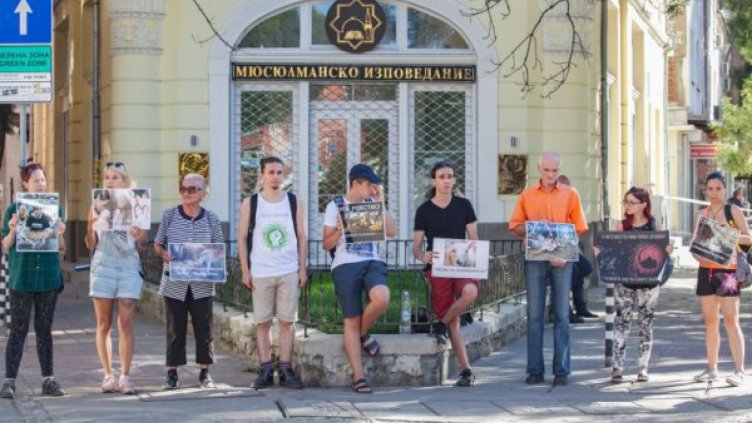 Вегани на протест против "кървавата баня" за Курбан Байрам