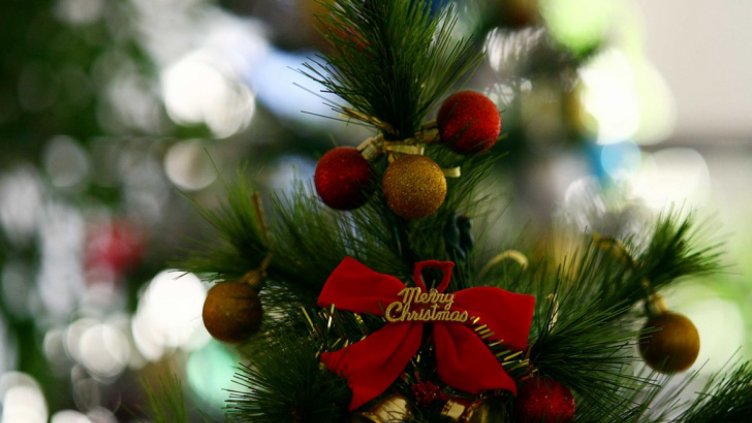 Весела Коледа!