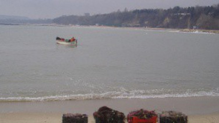 Океански пришълец спасява Черно море