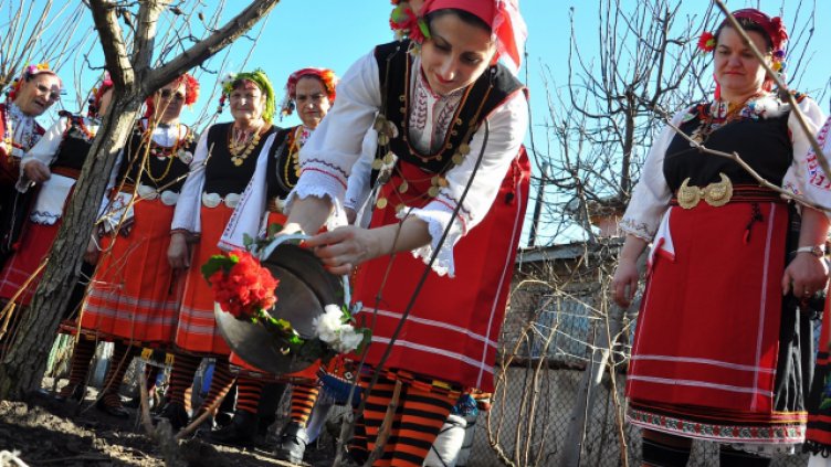 Снимка: Пламен Гутинов