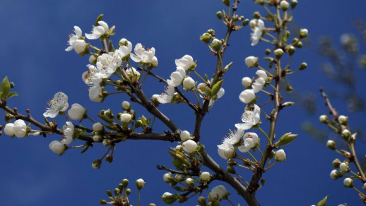 Денят започва със слънце, към обед - облаци и вятър