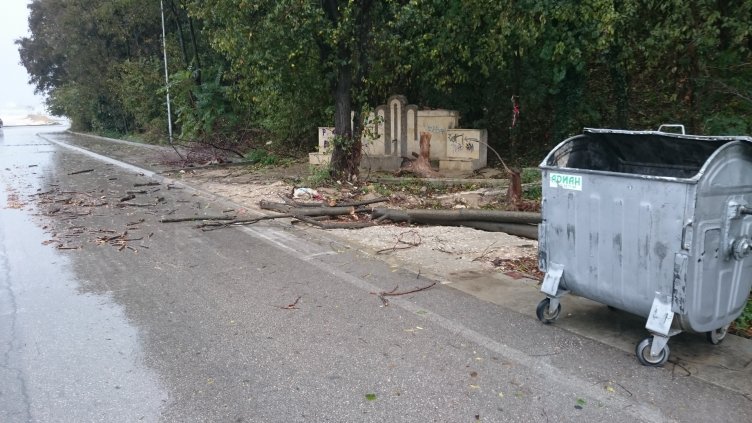 Пътищата във варненско са отворени за движение