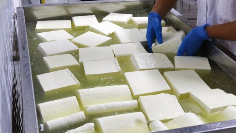 България иска киселото мялко и бялото сирене да станат защитени продукти