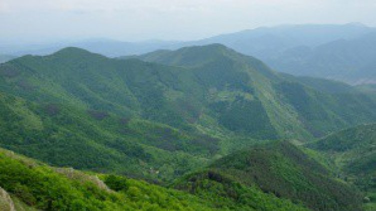 Спасиха семейство с бебе, загубило се в планината
