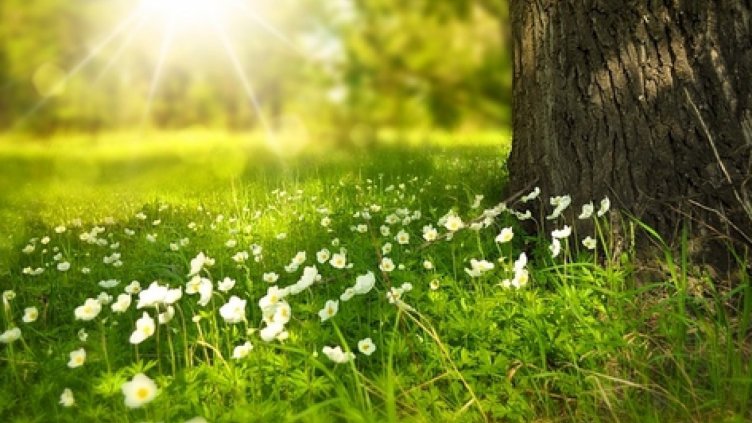 Без повече дъждове