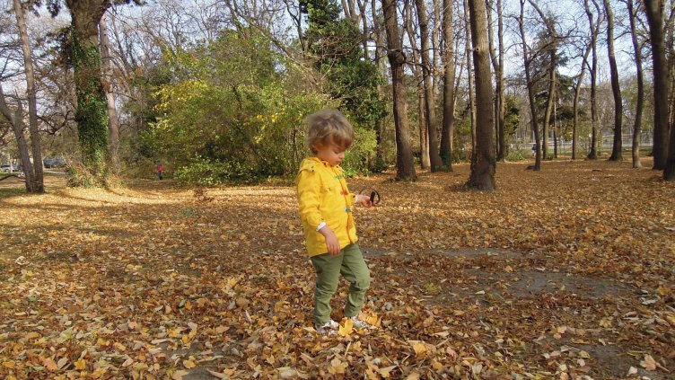 Настъпва астрономическата есен