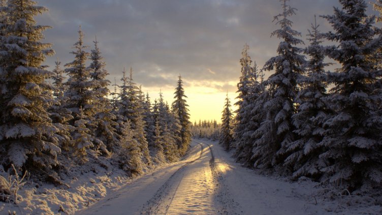 Премиерът разпореди следенето на пътищата през зимата