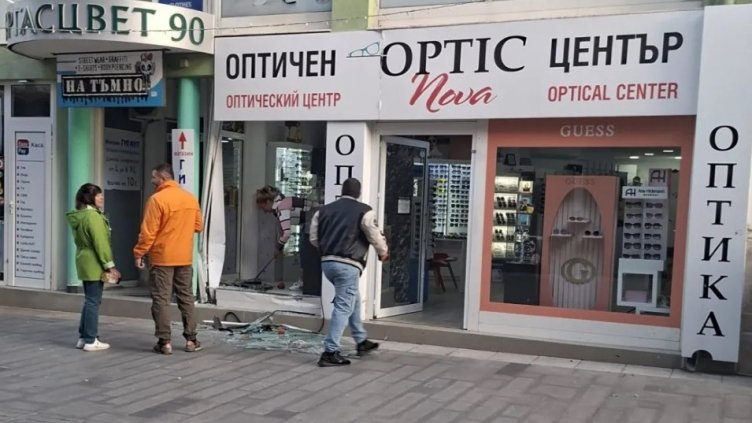 Снимка: Стадото