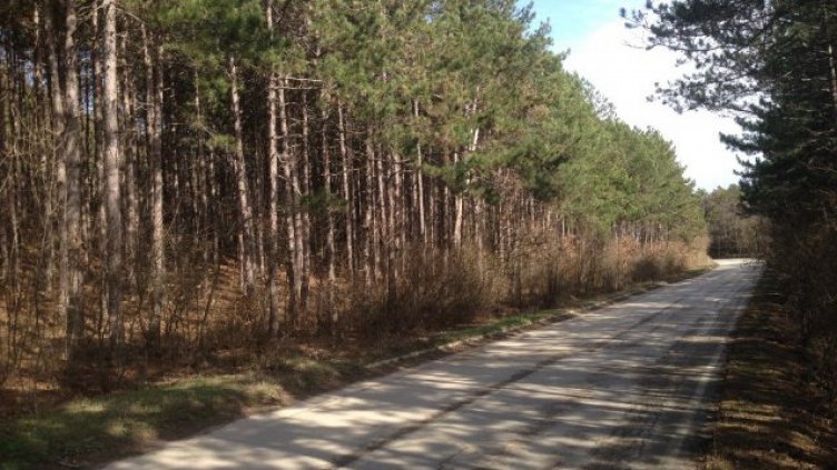 МВР: Партенка е екшън историята от "Аладжа манастир"