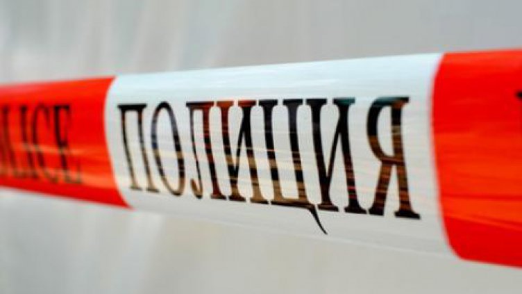 Отровиха домашно куче в двор с деца