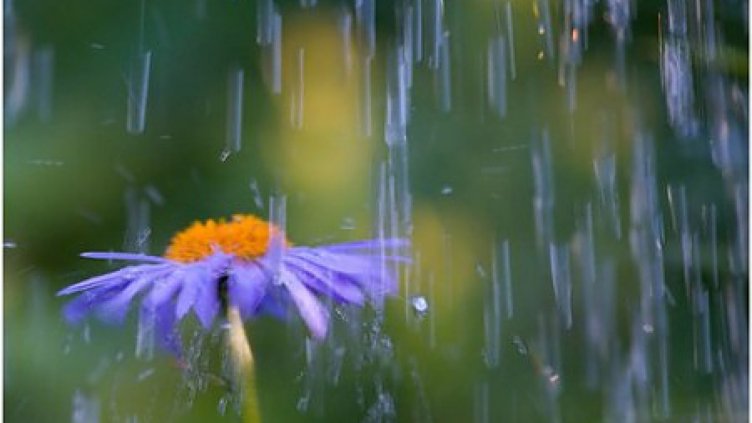 Облачно с превалявания на Великден по Черноморието