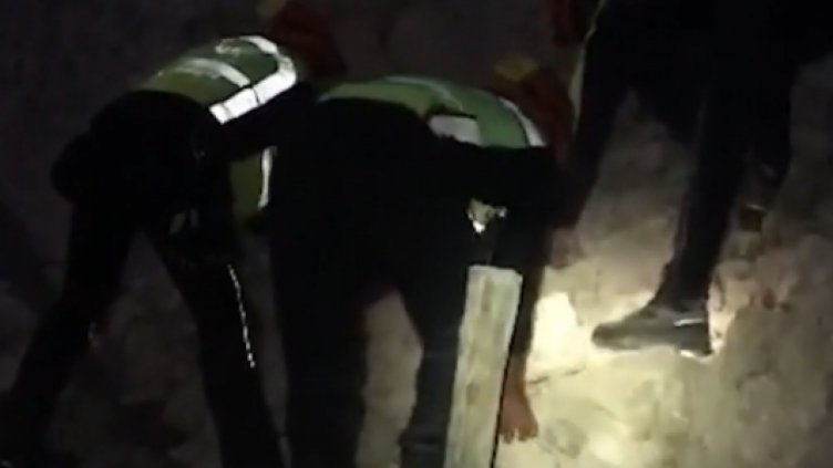 Извадиха живо куче, затрупано от развалините след труса в Италия (ВИДЕО)