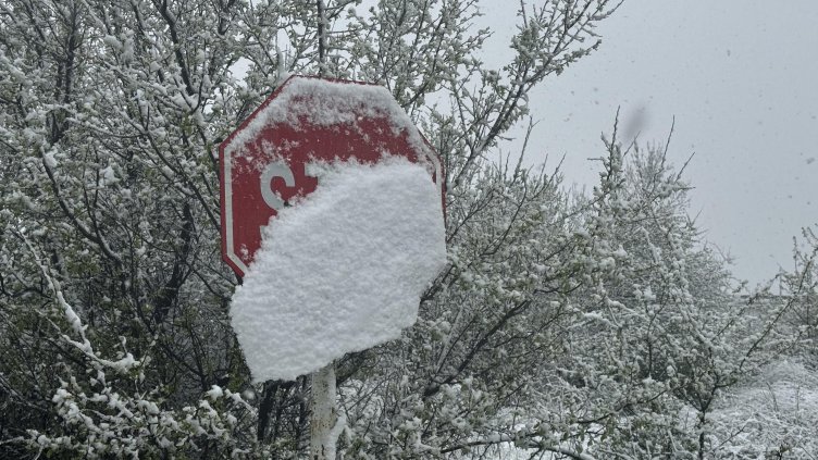 Лошо време със снеговалежи и вятър обхвана Балканите