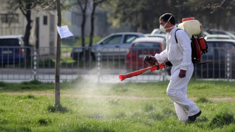 Комари нападнаха Варна след дъждовете