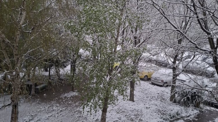 Варна осъмна със снежна покривка на 7 април (СНИМКИ)