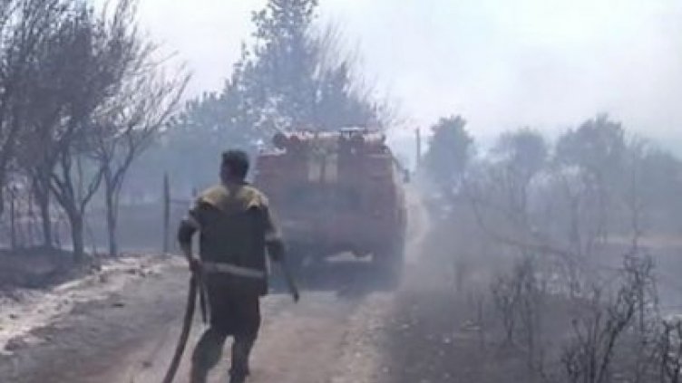 Огнената стихия край елховските села пълзи към турската граница