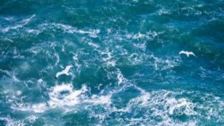 Изследват морето от Галата до Емине