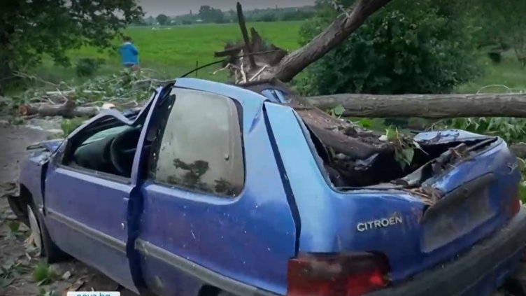 Бурята унищожи 80% от реколтата в Пловдивско (ВИДЕО)