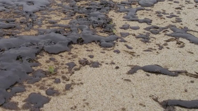 Нефтени петна се появиха на плажната ивица в Поморие