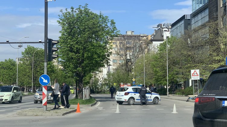 На косъм от трагедия: Огромно дърво се стовари на оживен булевард във Варна