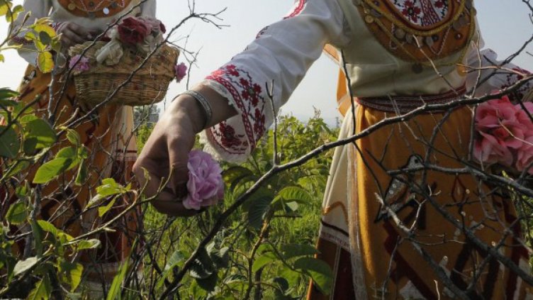 Градът на Левски посрещнал 100 000 гости през 2015 г.