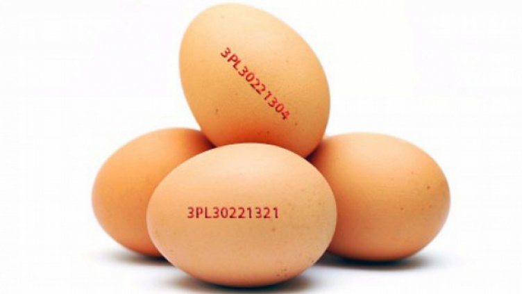 Лекар: Мийте добре яйцата преди употреба