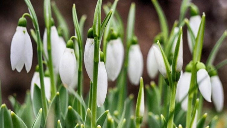 Започва топла седмица, градусите след сряда гонят 10°C