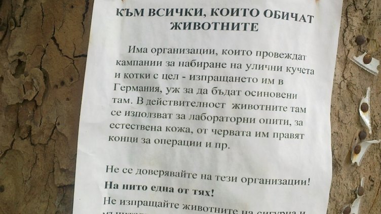 Обява предупреждава за трафик на кучета и котки в Германия